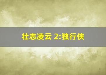 壮志凌云 2:独行侠